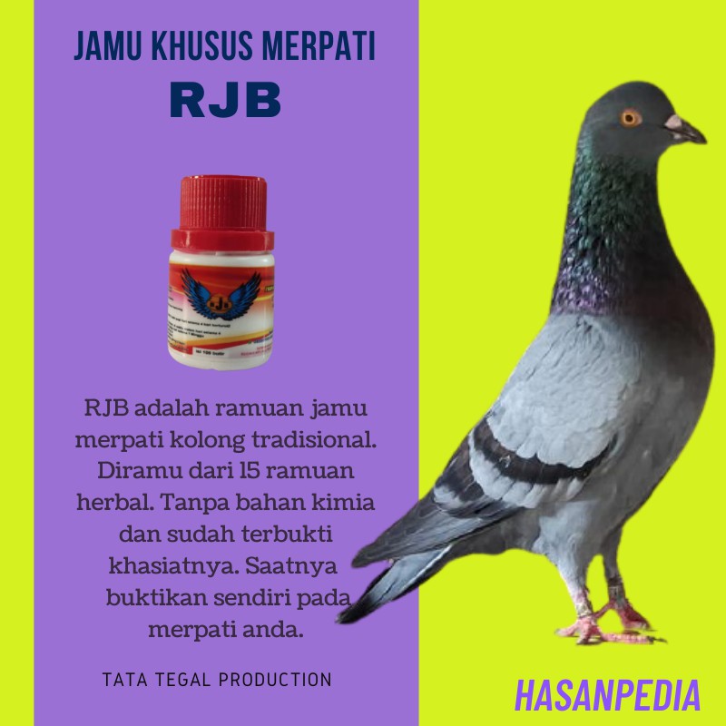 

RJB jamu merpati kolongan kolong balap tinggi pos giring kenceng keras kuat obat herbal burung dara