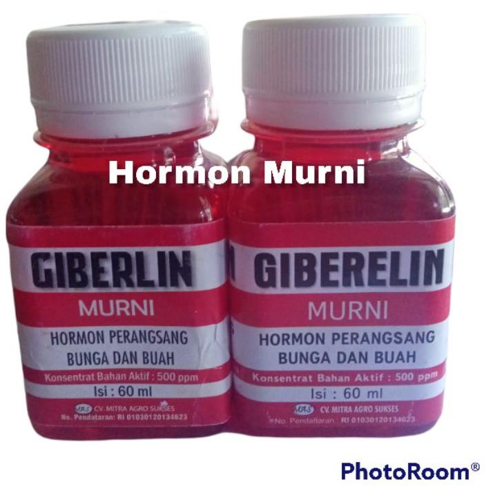 ✨Ramadhan 6.6/GIBERELIN Hormon Perangsang Buah dan Bunga ZPT GiberlinGIBERELIN Hormon Perangsang Bua