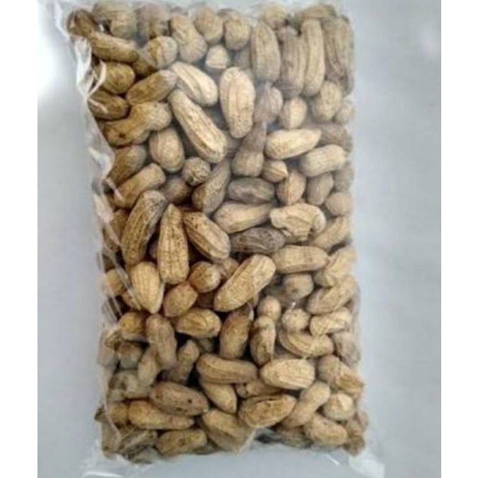 

kacang bendo