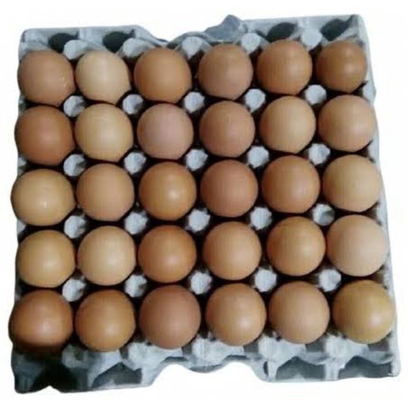 

1 Rak Telur Ayam Negeri Segar Setiap Hari