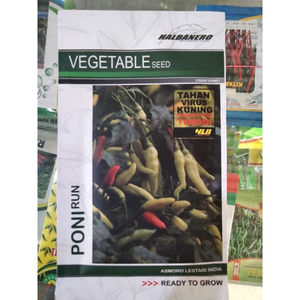 Benih Cabe Rawit PONIRUN HALBANERO
