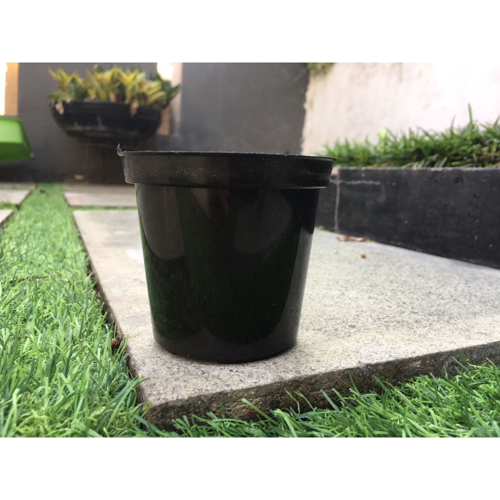 Pot Bunga Murah / Pot tanaman /Pot plastik uk 8 cm