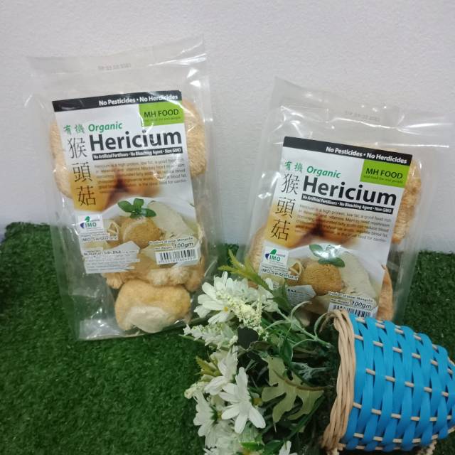 MH Food Organic Hericium 100g