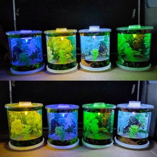  Aquarium  Mini Tabung  Kecil Lengkap dengan Lampu  LED TBG12 