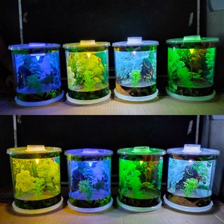 Aquarium Mini Tabung Kecil Lengkap dengan Lampu LED TBG12 Aquarium Mini Tabung Kecil Lengkap dengan Lampu LED TBG12