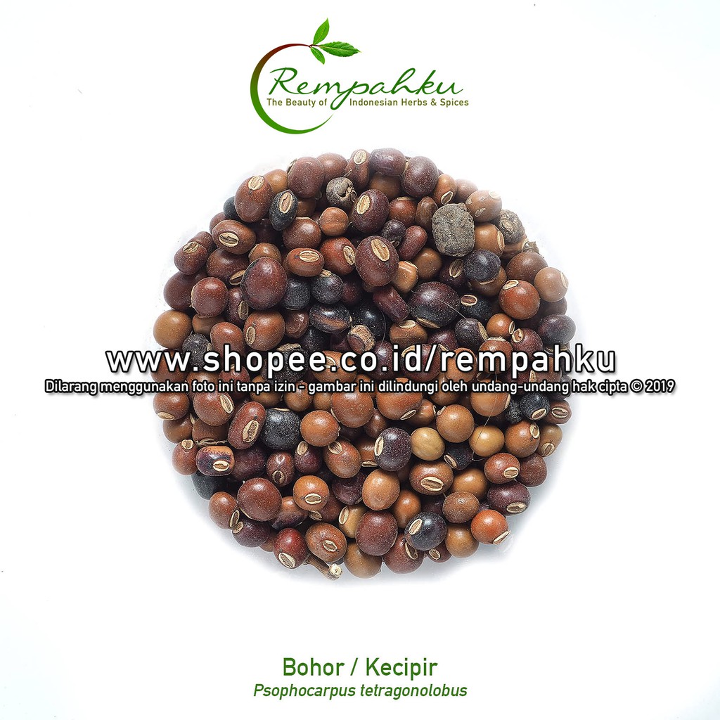 Rempahku - Biji KECIPIR 1kg Biji Bohor Cicipir Jaat Bumbu Rempah Jamu