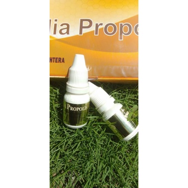 

Propolis amelia