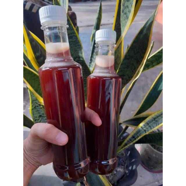 

MADU DAN SARANG || MADU HUTAN