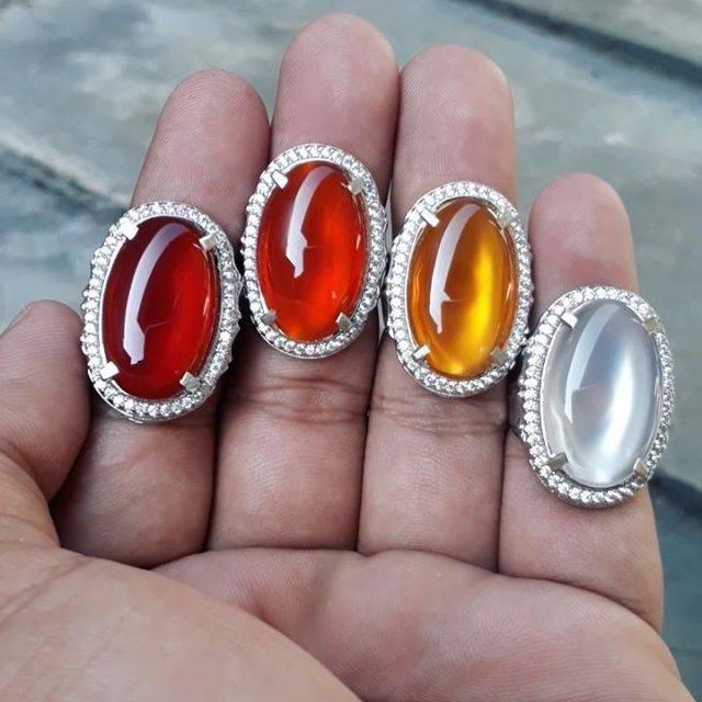 

Red Orange Gold & White Rafflesia Bengkulu