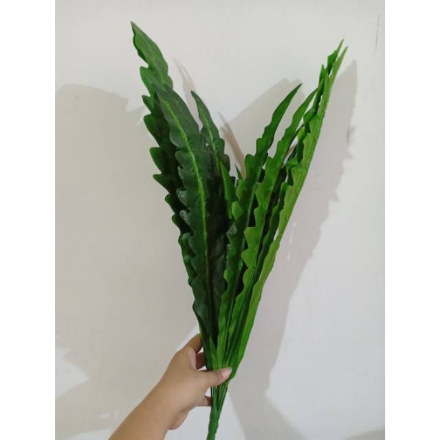 Daun gelombang cinta jumbo x18
