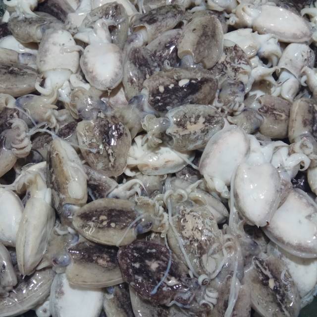 

BALAKUTAK BLAKUTAK BLEKUTAK Bandung Gosend