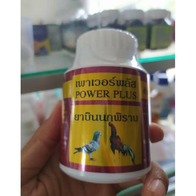 Power Plus Merpati dan Ayam