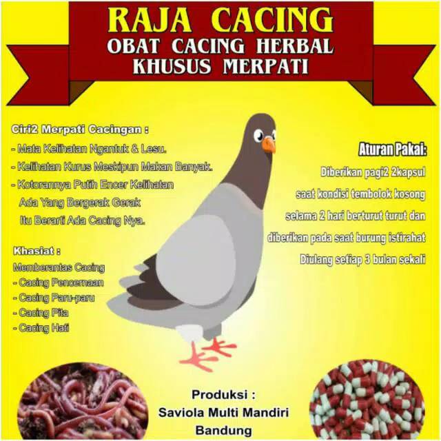 RAJA CACING KAPSUL OBAT CACING HERBAL KHUSUS MERPATI
