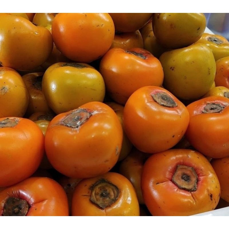

BUAH KESEMEK FRESH PREMIUM/BUAH BEDAK/BUAH GENIT/BUAH LANGKA FRESH 1KG
