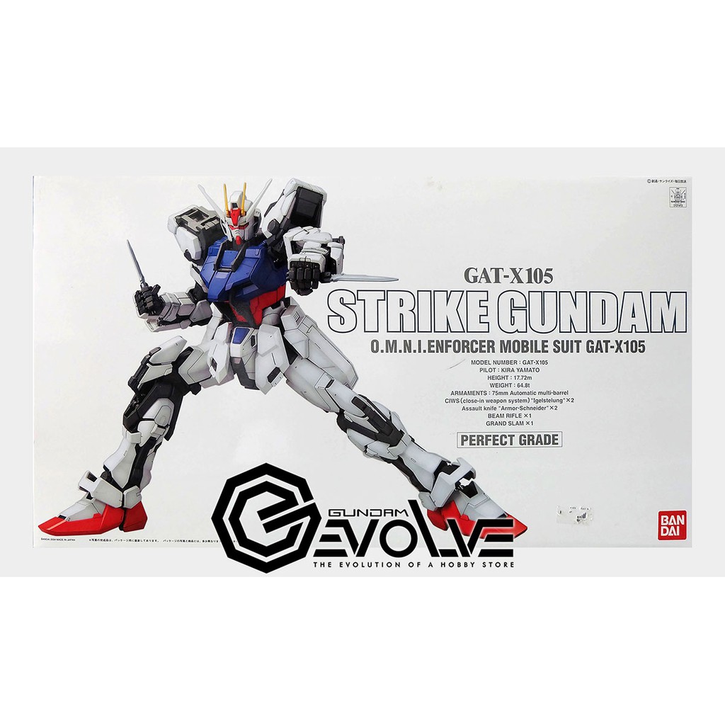 1/60 PG Strike Gundam