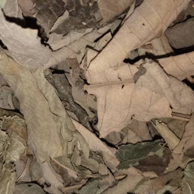 

Daun Sungkai Kering 500 Gram