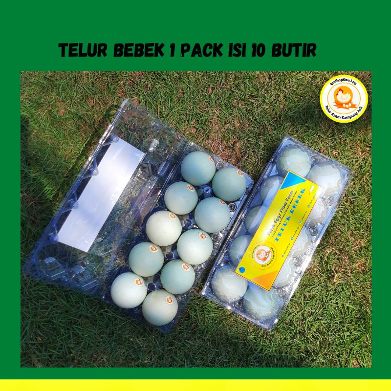 

Telur Bebek Organik Isi 10 Pcs/Butir