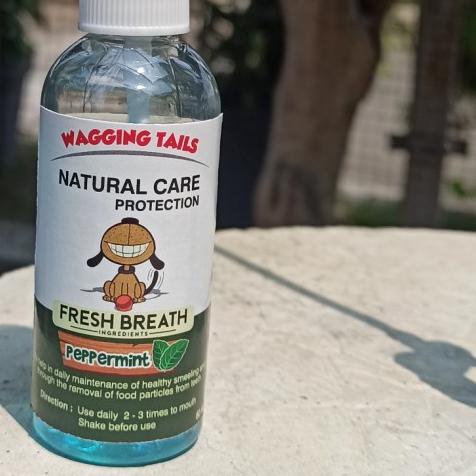 ➻ PENGHILANG BAU MULUT ANJING ▲