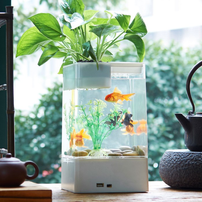 Desktop Acrylic Mini Aquarium / Akuarium Import