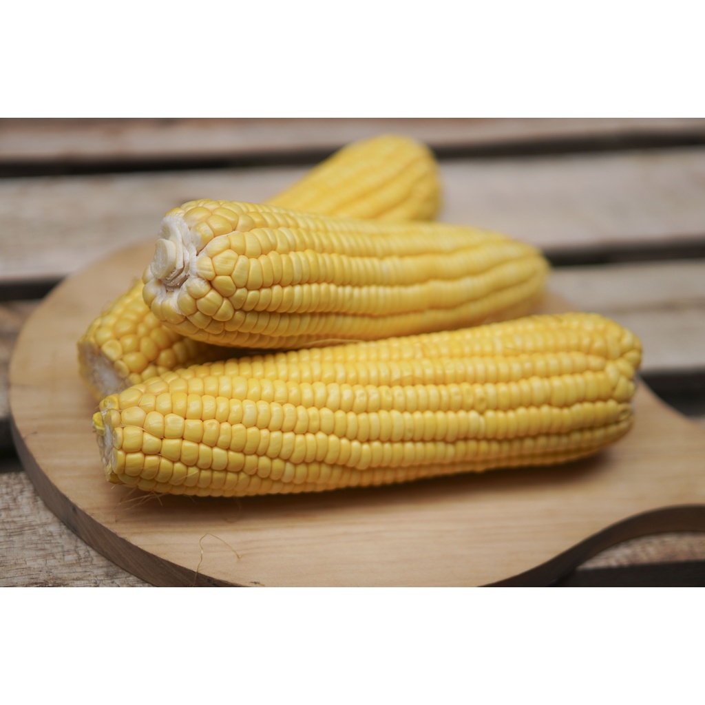 

Jagung manis kupas 2 pcs (500-700 gr)