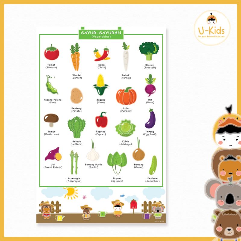 

Poster Edukasi Anak Belajar Mengenal Sayur-sayuran Desain Lucu Terbaru Kekinian