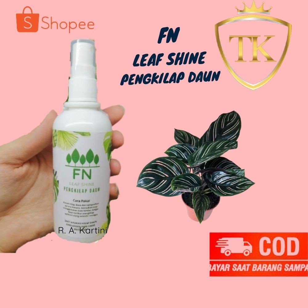 (COD) KILAP DAUN LEAFSHINE PENGKILAP DAUN ALAMI SEMIR TANAMAN