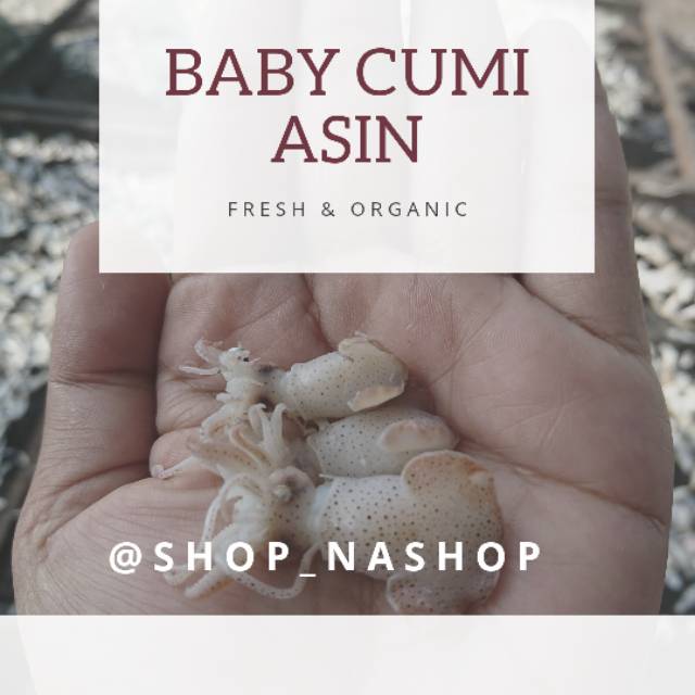 

Baby cumi telur(PO pengemasan)