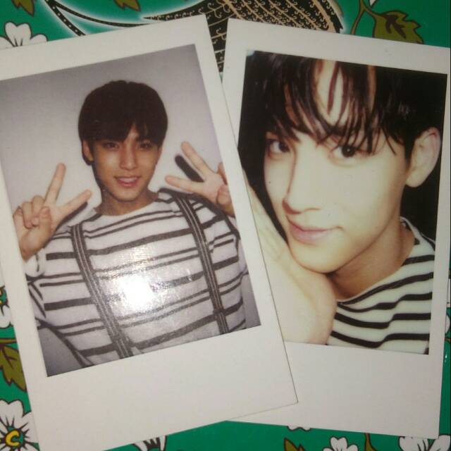 Seventeen polaroid concert