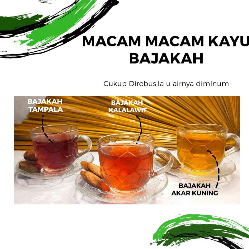 Kayu Bajakah Asli