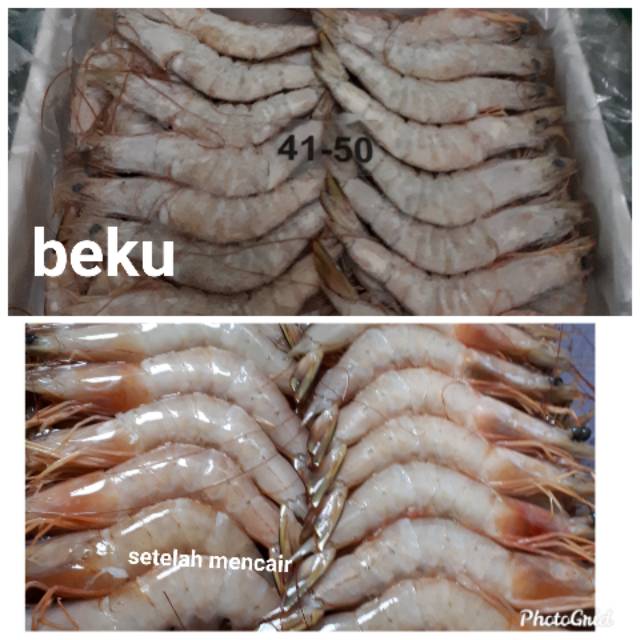 

Udang Jerbung Frozen ( 1 kg )