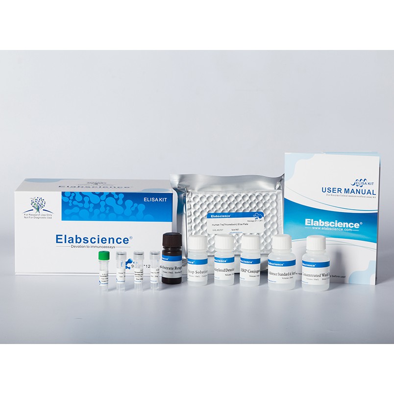 Testosterone ELISA Kit