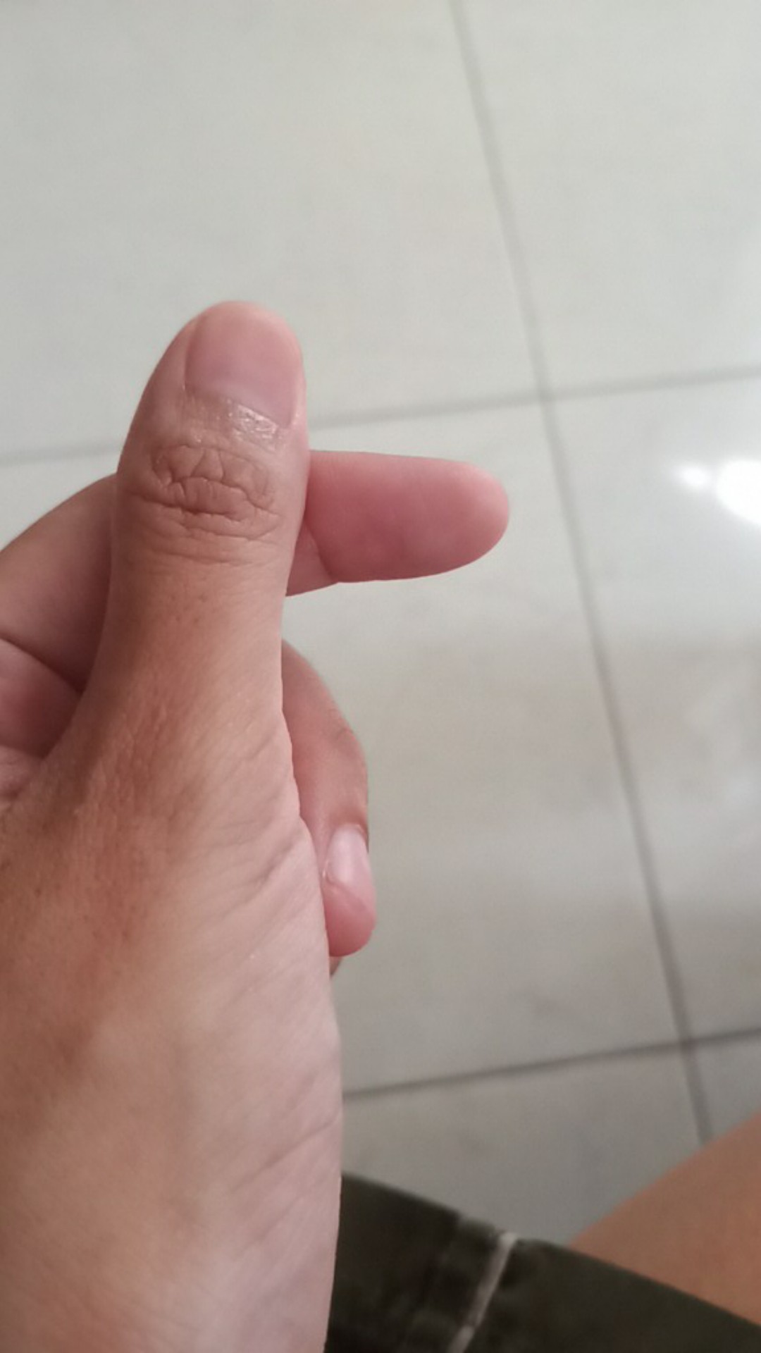 Laundry Bag  Tas Mesin Cuci