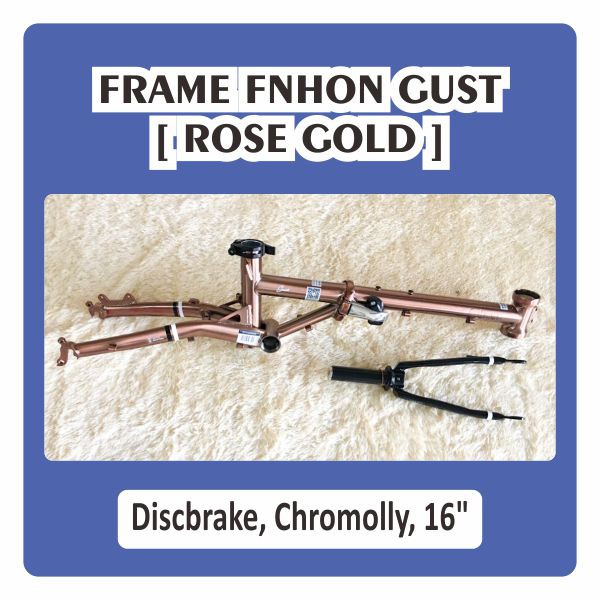 Frame Set Fnhon Gust Rose Gold Titanium Db Discbrake Disc Brake 16 inch tanpa Handlepost HP