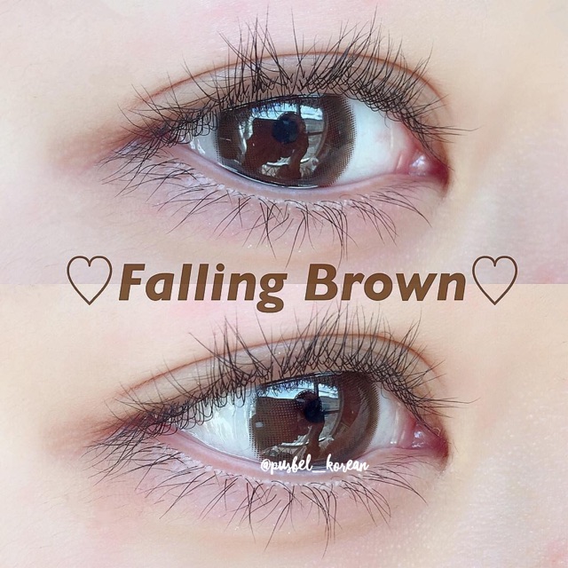 Falling gray &amp; brown softlens kitty kawaii