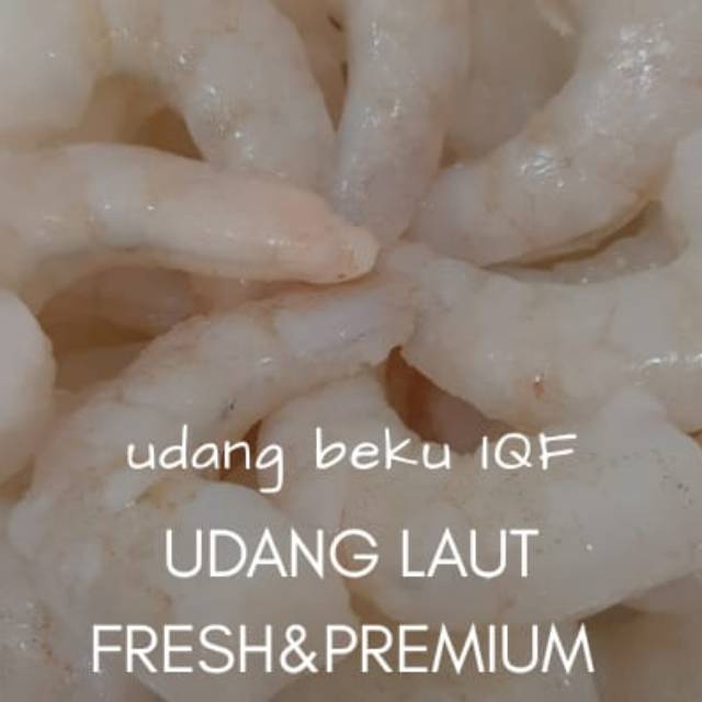 

Udang Beku Segar