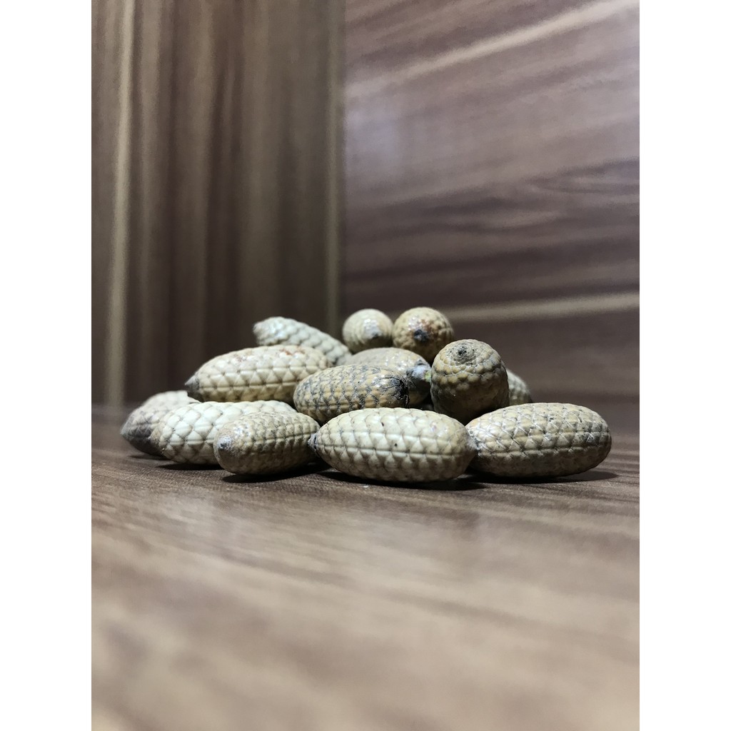 Rotan Oval 100gr & 1Kg Biji Rotan Kapsul Buah Rotan Oval Perlengkapan Mahar Seserahan Pernikahan