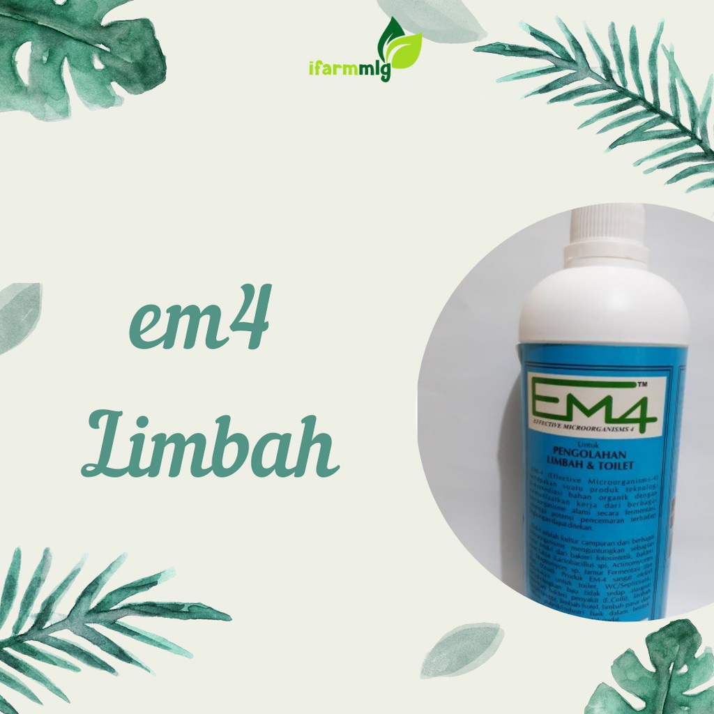 EM4 Limbah - EM4 Toilet - EM4 Limbah dan Toilet - Obat Toilet Bau - Obat Got Bau - Obat Selokan Bau