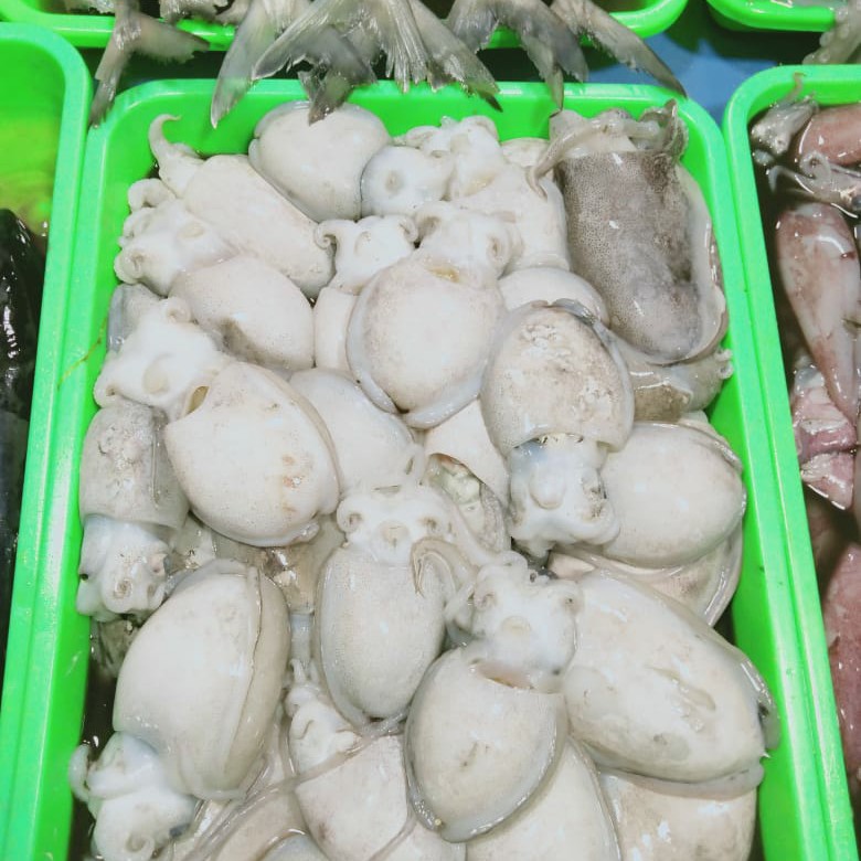 

Sotong 1kg (1000g)