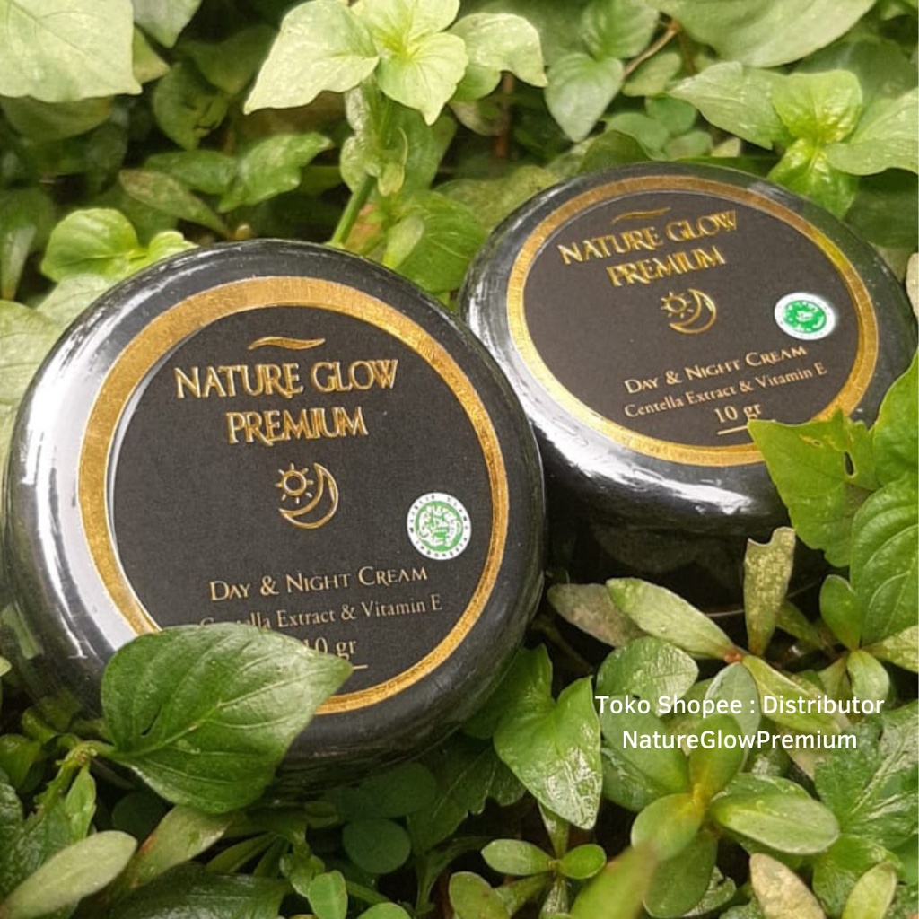 PAKET HEMAT NATURE GLOW PREMIUM DAPAT 2 CREAM
