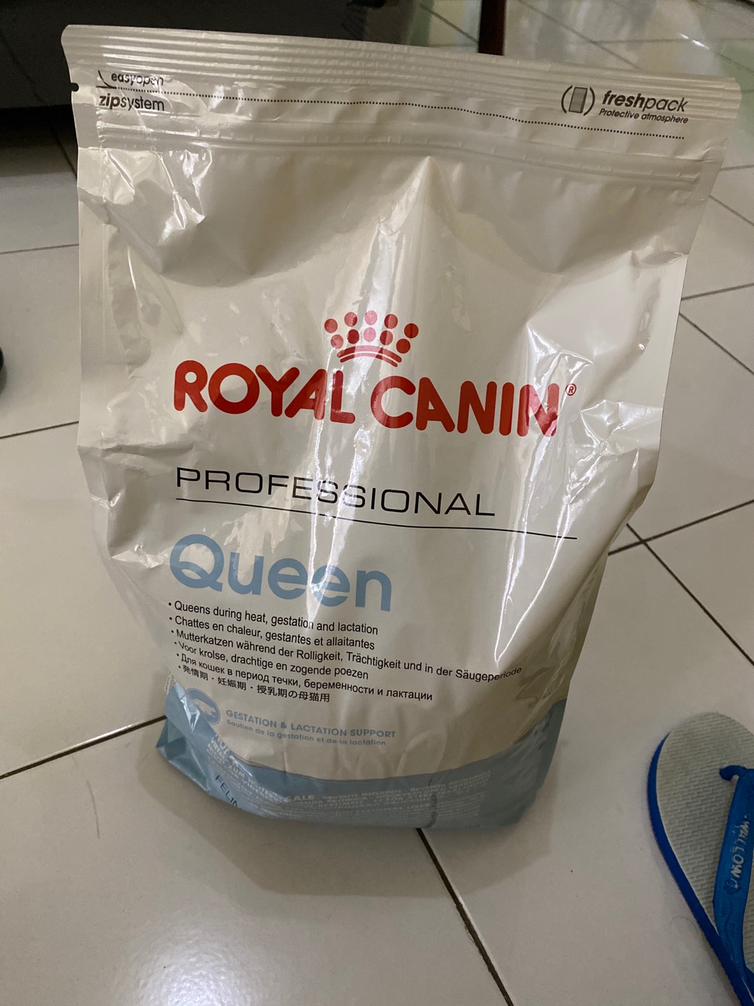 ROYAL CANIN PROFESSIONAL QUEEN 4KG | Shopee Indonesia