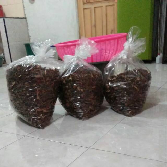 

Jamur sisik kering