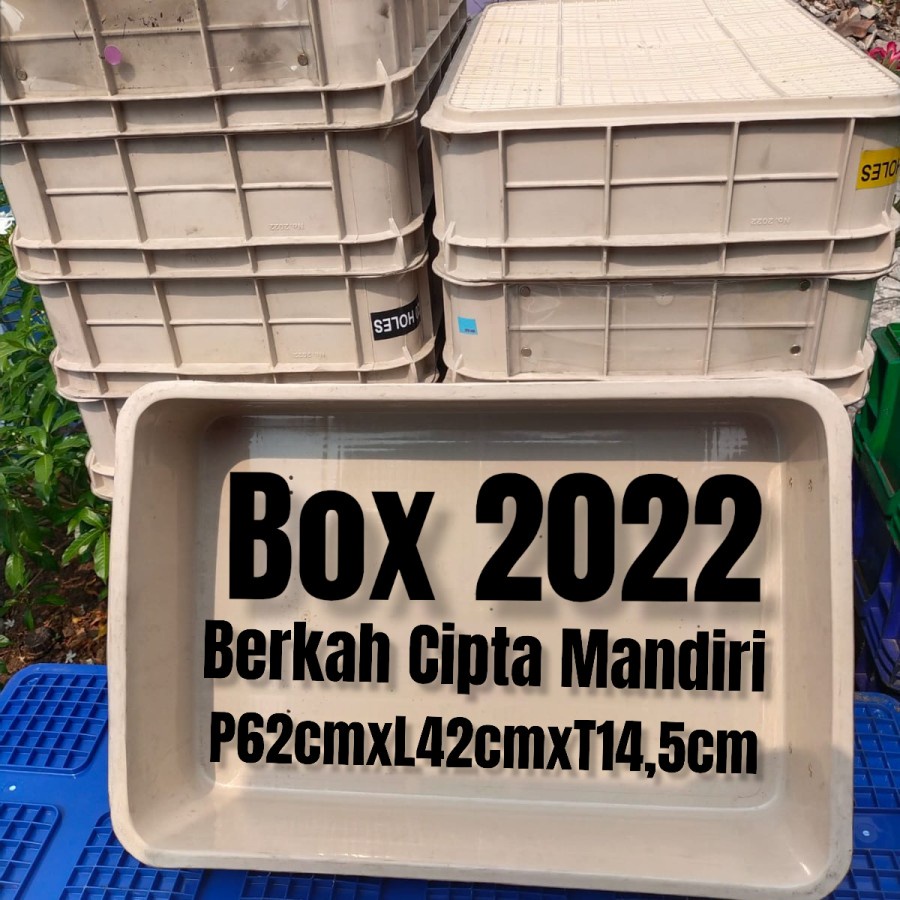Bak Container Plastik Bak Magot Bak Ikan / Bak kura kura / Box 2022