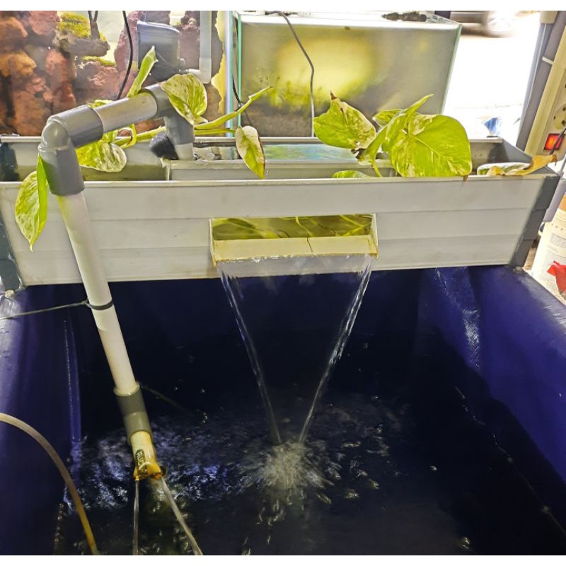 Filter talang air terjun