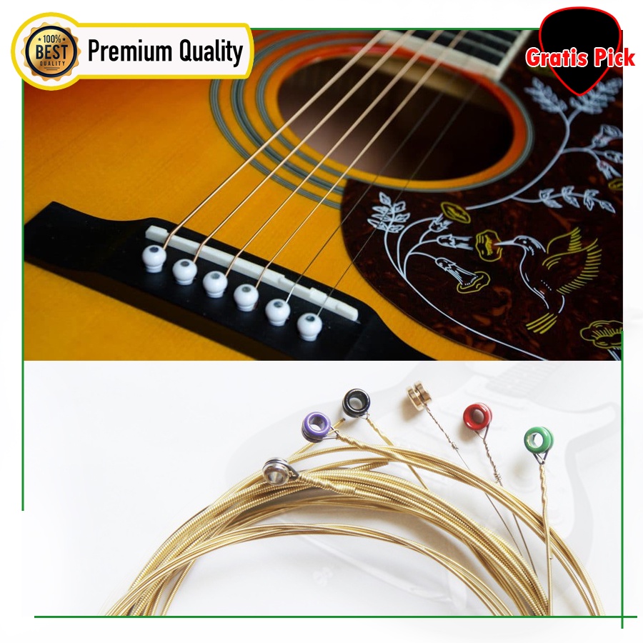 senar gitar akustik 011 acoustic guitar strings daddario EZ 910