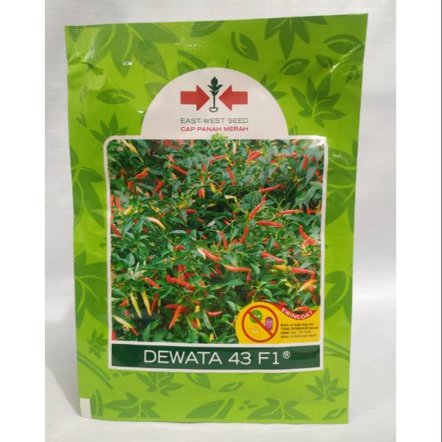 Cabe DEWATA 43 F1