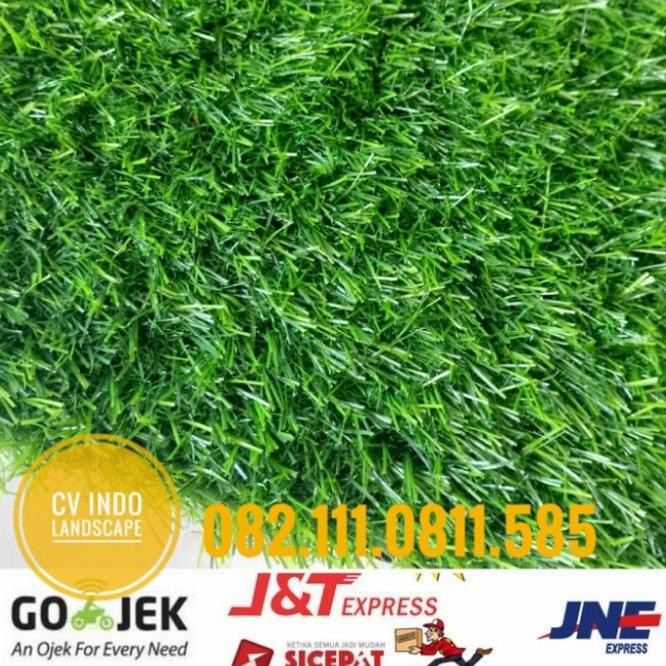 Distributor Rumput Sintetis Swiss 2 Cm 2 Roll Kirim Kramat Jati