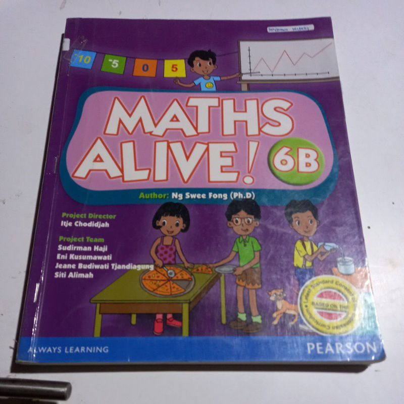 MATHS ALIVE 6B.