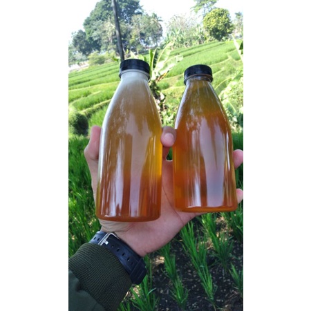

Madu Original Tanpa Campuran (Madu Randu & Kaliandra)