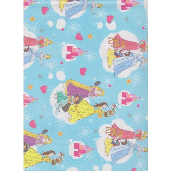 

Kertas Kado Sansan Wawa SW "Disney/princess