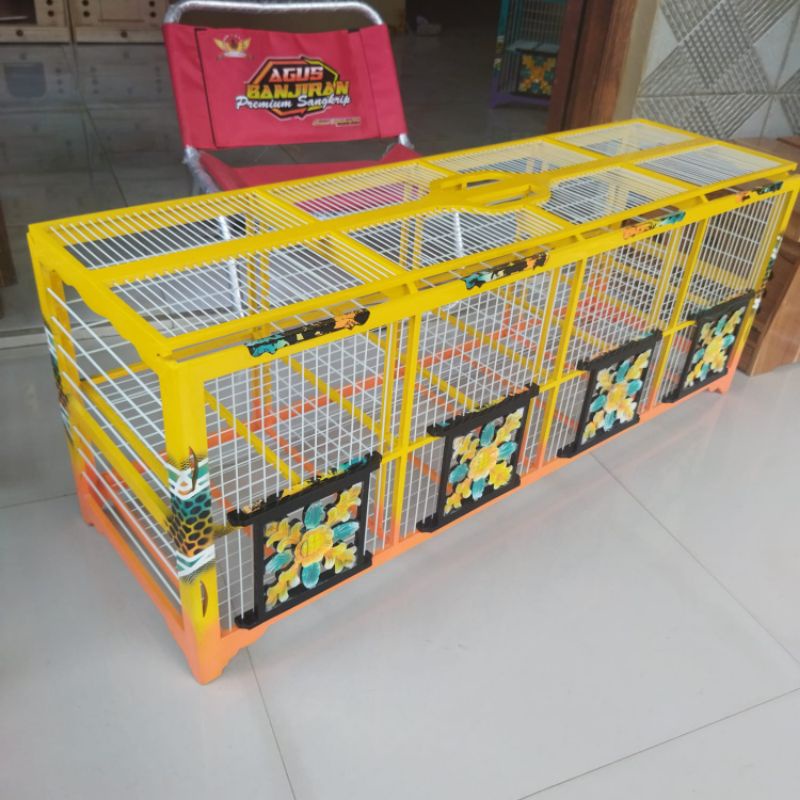 dongdang merpati 8 pintu